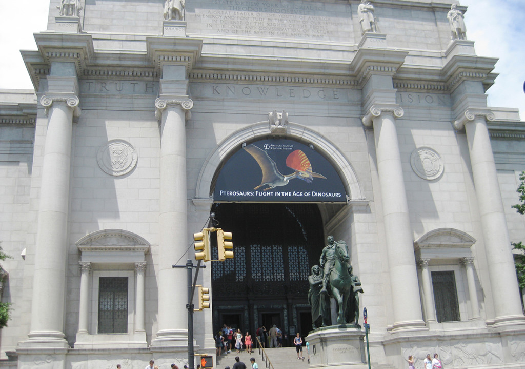 壮大なスケール アメリカ自然史博物館の完全解説 プレ子とニューヨーク